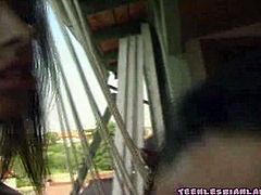 See these alluring brunette lesbians making out and licking their hot tits at the backyard in this hot vid provided by Teen Lesbian Land. Then it's time for things to get even better!