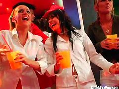 Voracious bitches are dancing and sipping heavy drinks. They are warming up for a hardcore group sex in a same club. Check them out in Tainster porn clip.