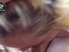 Young looking pale amateur blonde with natural boobies gets naked while teasing Jay and gets down on knees to lick and suck his stiff meaty cock in point of view