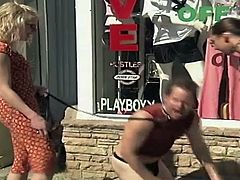 Funny hidden camera clips where pornstars play pranks