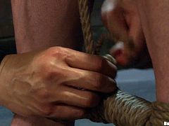 If you're 100% gay or at the very least 50% and you dig your fair share of kinky bondage shit, then you're gonna love this vid.