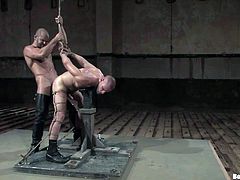 Have a look at this gay bondage video where these kinky hunks have fun torturing one another as well as pleasing themselves.