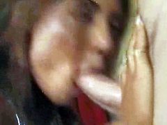 Stunning Desi brickhouse mommy bends over the piano getting her pink pussy and asshole fingered. Desi bitch holds that massive dick and sucks it with passion.