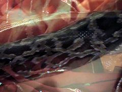 Fuckable Indian cutie with pair of small perky tits gets her cuddly body wrapped by a huge snake who twirls on her pussy, what makes her moans with pleasure.
