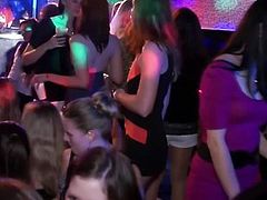 Partying babes getting cumshots