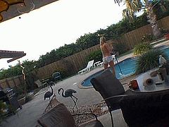 Peppering blond whore in tiny floral printed bikini gets lured by a horny pool cleaner. She takes off her bikini in front of him to demonstrate mind taking body in steamy sex clip by Pornstar.