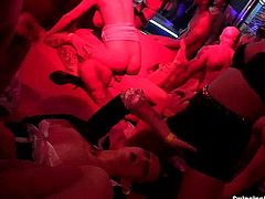 Awesome party sluts gets mouths and pussies screwed in club in sex orgy