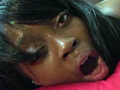 Amazing black BBW seeks for orgasm. Wondrous nympho with flossy big ass and nice natural big tits is ready to be poked both missionary and doggy. Wondrous harlot has nothing against sucking his stiff BBC for delicious cum right on the wide bed.