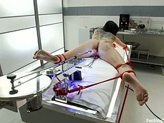 Fucking machine plays with a sizzling and booty brunette Tori Lux. Babe gets her legs tied apart and inserted with a fucking machine!