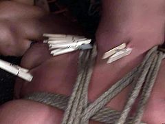 This rapacious brunette domina is a fan of clothings pegs. She bandages a salty blondie and forces her lie on the floor before she starts attaching pegs to her nose, tongue and even firm tits in BDSM-styled sex clip by 21 Sextury.