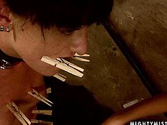 Ruined brunette chic gets bandaged with spiked leather belts before a rapacious domina starts attaching clothing pegs all over her body including tits and belly in BDSM-styled sex video by 21 Sextury.