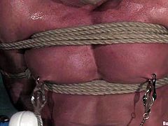 A big packed gay guy is going to be dominated in a BDSM video with bondage, sex, cock sucking and more wild action.