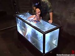 Sexy blonde girl gets undressed and tied up Sgt. Major. After that she gets toyed with a vibrator and humiliated in filled aquarium.