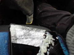 Big load on my IPAD...