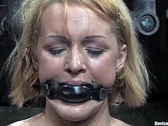 Claire Adams and Sara Faye are playing BDSM games in a basement. The blonde gets a dildo in her mouth and then loves hot wax on her tits and belly.