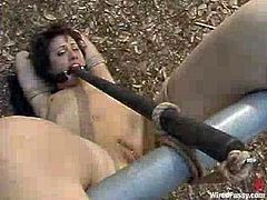 Dylan Ryan is having fun with a lewd dominatrix in some muddy shed. She gets tied up and humiliated and smeared with dirt and then gets her pussy fucked with a dildo.