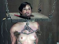 Apart from the wicked bondage, there's some pretty fucked up torture and spanking with toying action too in this lesbian BDSM.
