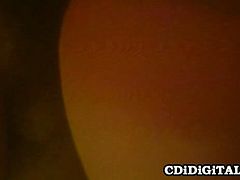 Busty blonde babe Patty Plenty enjoys a retro fuck in this awesome vintage free porn video provided by CDI Digital. She definitely knows how to put on a hell of a show!