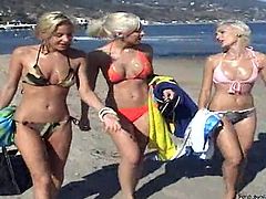 Threesome lesbian scene with some stunning angels! They chill on the beach and then go for each other's pussies as they get in Jessica Lynn's place.