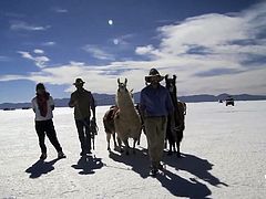 In the middle of fucking nowhere our hotties found a new hobby! Like the desert wasn't hot enough these girls have a little relaxation under the sun topless to suntan a bit. Damn, look at their sweet tits and how relaxed the cuties are. Will the situation get hotter than this? Let's find out!