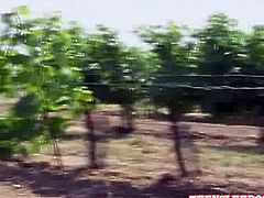 Lena and Melisa should be working on their summer jobs picking grapes. Sweating under the hot sun picking grapes is no fun,So they started kissing,licking and enjoying some hot lesbian teens sex action.Enjoy!