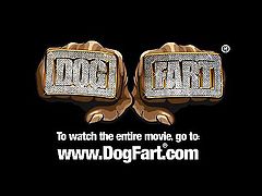 Brett Stone is this weeks' newest addition to