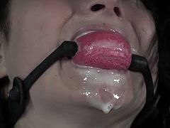 Hard Tied brings you an exciting free porn video where you can see how the hot brunette slut Veruca James gets gagged and spanked while assuming very hot poses.