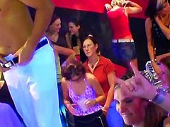 Adorable hotties are quite amazing during this nasty porn sex party