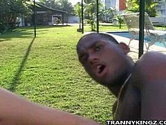 Tranny Kingz brings you a hell of a free porn video where you can see how a horny blonde shemale gets assfucked hard outdoors bya black stud til she cums very hard!