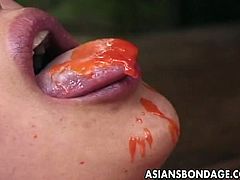 Asians Bondage brings you a hell of a free porn video where you can see how a bound Japanese brunette girl gets burned with candle wax while assuming very hot poses.