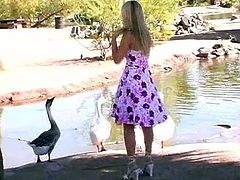 Get wild watching this blonde babe, with big knockers wearing high heels, while she touches herself while and plays with cute animals.