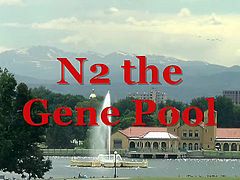 N2 The Gene Pool!