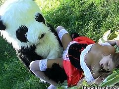 Curvy babe in red hood outfit was walking though the forest when weird perv in panda costume caught her. Beauty didn't mind about giving him blowjob and getting her tight pussy fucked by his massive cock.