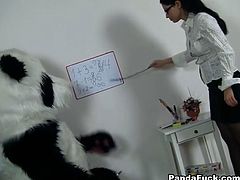 Naughty teacher takes off her sexy outfit showing out her ass and tits and plays with her huge plush panda bear toy's pink dildo.