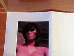 Tribute for k1ztw by David horny