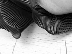 Outside Chastity and Plugged Pt2