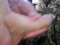 another wank in the forest