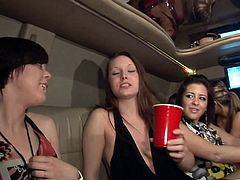 Kinky ladies show their sexy bodies inside a limousine