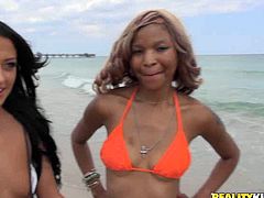 Slutty girls are wearing crotchless bikinis on a public beach