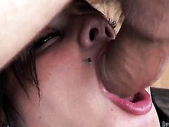 Jay Huntington has a nice time banging Stephanny Tricks