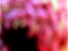This insanely horny chick has no clue about how to handle her lover's dick. She takes his shaft in her mouth and sucks it greedily like a cheap whore.