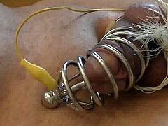 electro estim: cock-in-metall-cage auto-dilated long quality