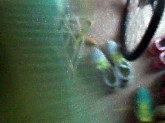 Running shoe collection