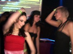 These incredibly horny babes will get you hard as a rock as they get a little too wild in the club and start flashing their yummy tits and asses.