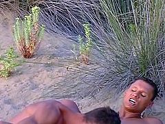 Watch these two gay hunks have a sizzling time on the beach where they share their cocks with each other in this free tube video.