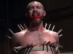 He's a pretty sex slave that's now receiving what he deserves. Jordan has been tied tight on a chair, ball gagged and now the executor plays with his body. He putted clothespins all over his body and attached weights on his balls. Now the executor is jerking him and surely Jordan will cum a lot!