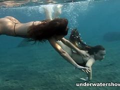 Defloration TV brings you a hell of a free porn video where you can see how these two naughty brunettes play together underwater while assuming very hot poses.