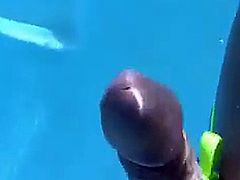 Amateur gay guys having fun with their cocks in the pool