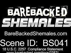 Shemale Good In Sucking And Bareback