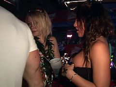 Nasty porn hotties show off nice asses in a hot club party